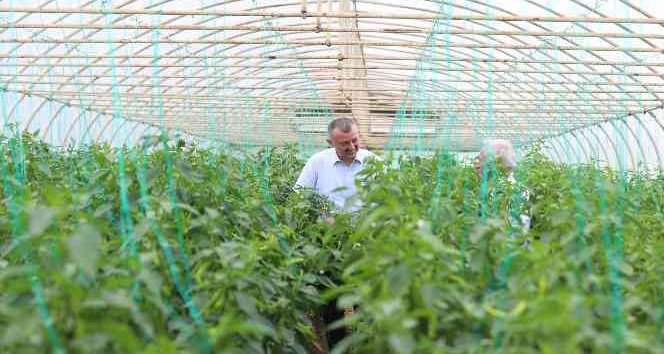 Başkan Büyükakın: “Tarımda Desteklerimiz 255 Milyon TL’yi Bulacak”