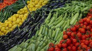 Büyükşehir Destekli Seralarda Hasata Başlandı