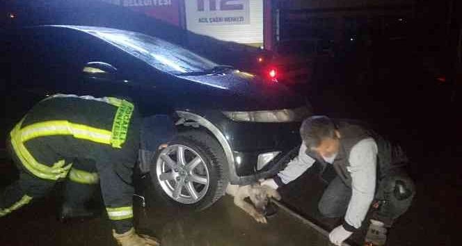 Otomobilin altına Sıkışan Köpek İtfaiye Tarafından Kurtarıldı