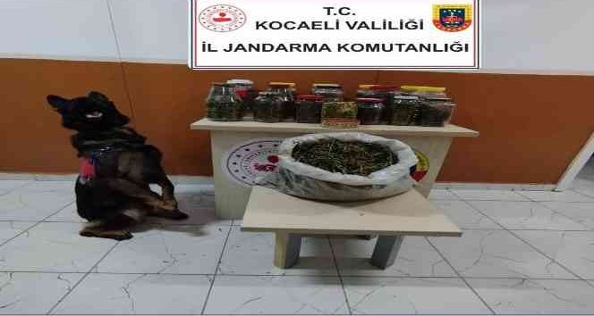 Kocaeli’de Uyuşturucu Operasyonu: 4 Kilo 336 Gram Esrar Ele Geçirildi