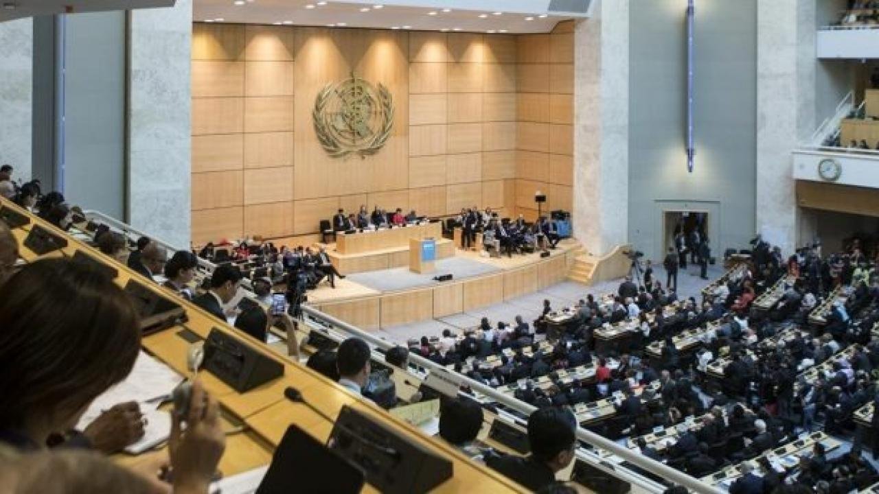 DSÖ ‘maymun çiçeği’ için toplandı: Küresel acil durum ilan edilecek mi?