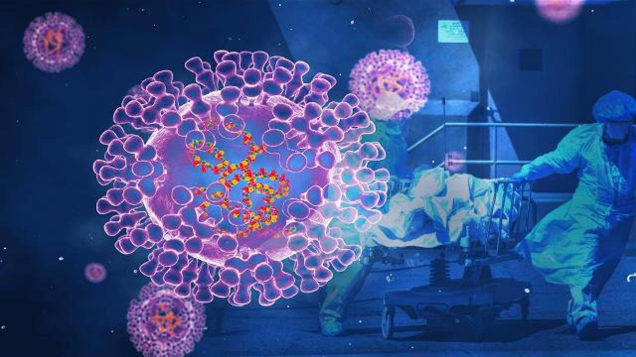 DSÖ’den maymun çiçeği açıklaması! Vaka sayısı kaç aoldu?