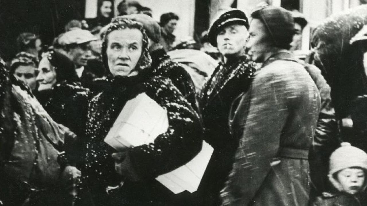 İsveç’in kirli, Nazi’ye benzeyen diğer yüzü: Zoraki kısırlaştırmalar