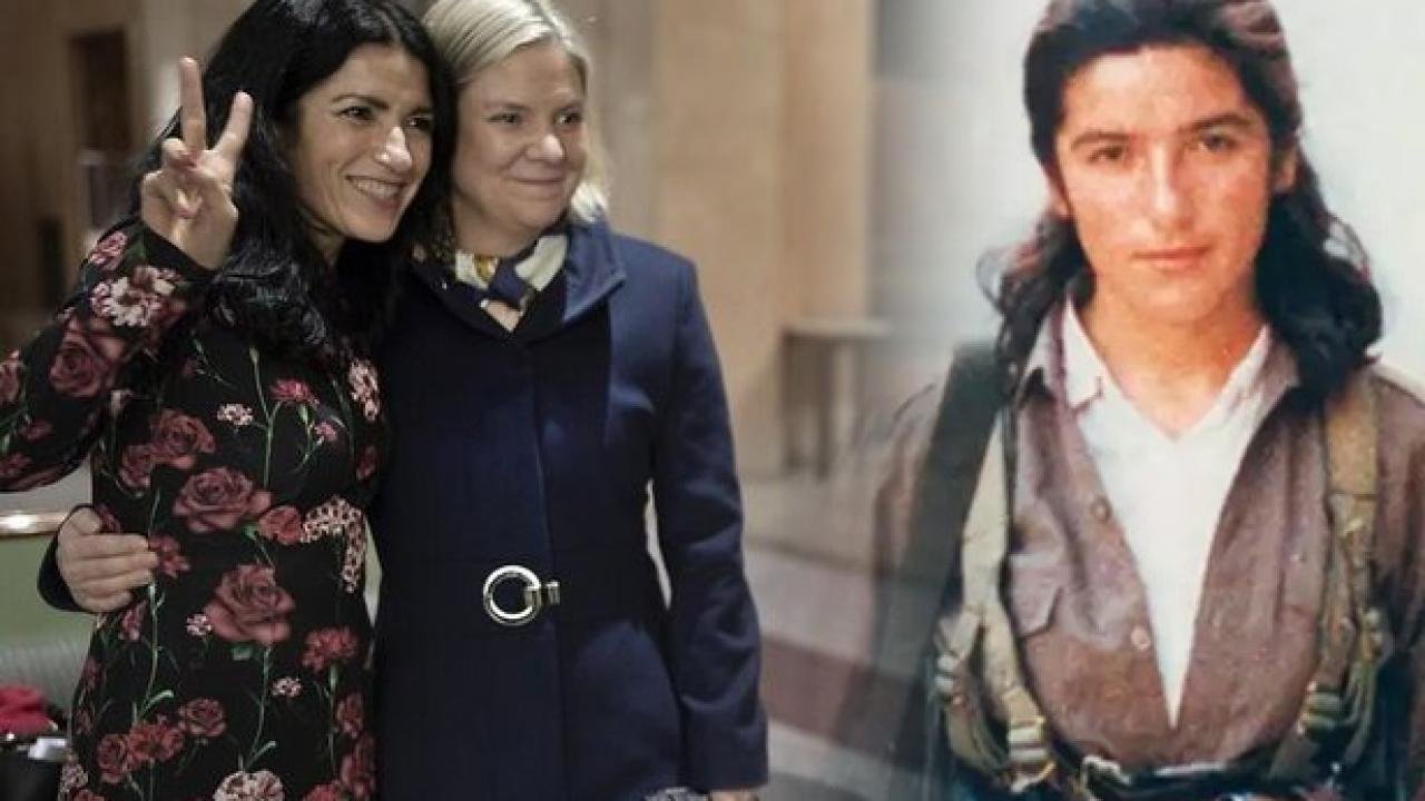 İsveçli gazeteciden Türkiye’ye destek: Ambargoyu kaldırın, anlaşmayı iptal edin!