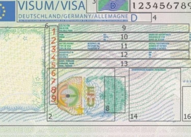 AB: Türk vatandaşlarına verilen vizelerin oranı düzenli şekilde artıyor