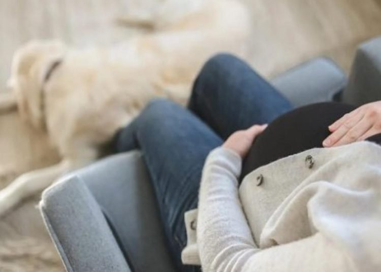 ABD’de Cumhuriyetçi Senatör kürtajın ülke genelinde yasaklanması için tasarı sundu