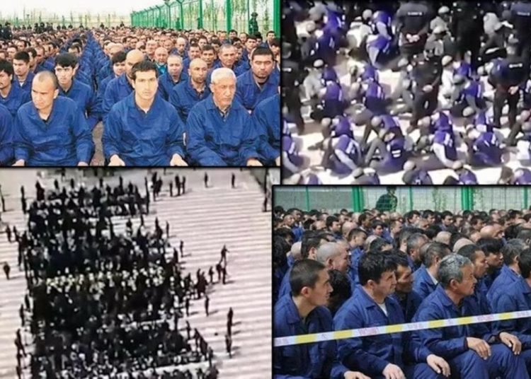 Almanya’dan Çin’e Doğu Türkistan çağrısı