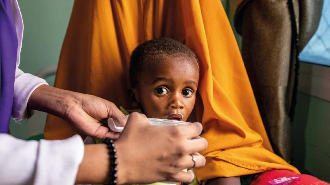 BM: Dünya nüfusunun yüzde 10’u açlık sorunuyla boğuşuyor