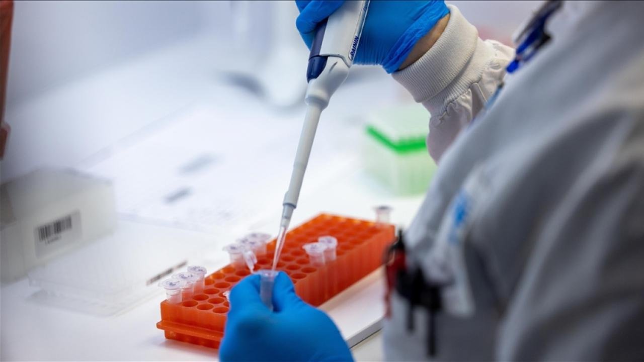 DSÖ, maymun çiçeği varyantlarına yeni isim verdi