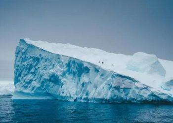 İtalya’da 400 bin euroluk vurgun: Dolandırıcılar, var olmayan ülkenin pasaportunu sattı