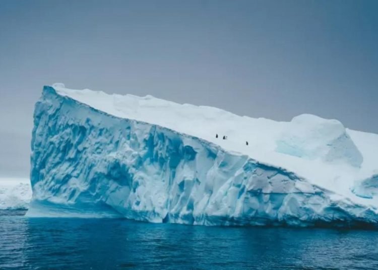 İtalya’da 400 bin euroluk vurgun: Dolandırıcılar, var olmayan ülkenin pasaportunu sattı