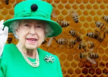 Kraliçe 2. Elizabeth’in ölümü, arılara da söylendi