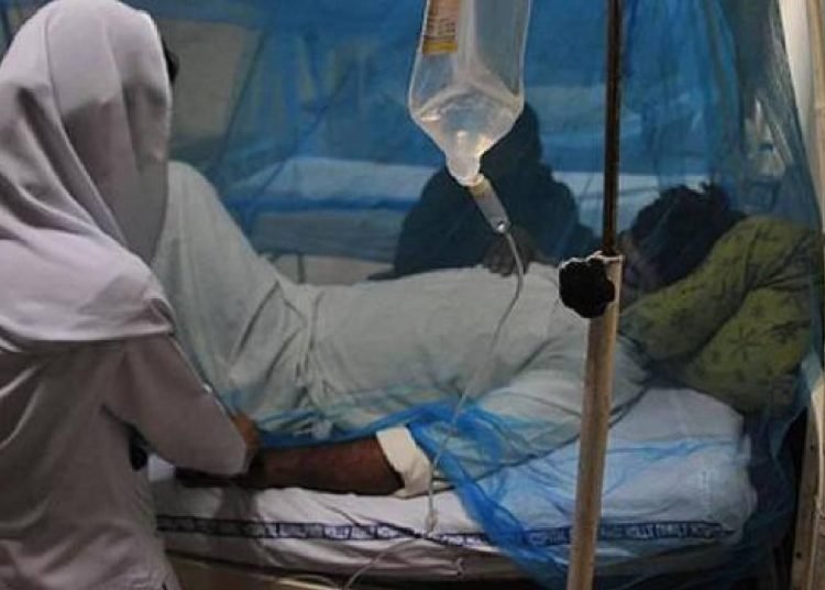 Lassa ateşinden ölenlerin sayısı 168’e çıktı