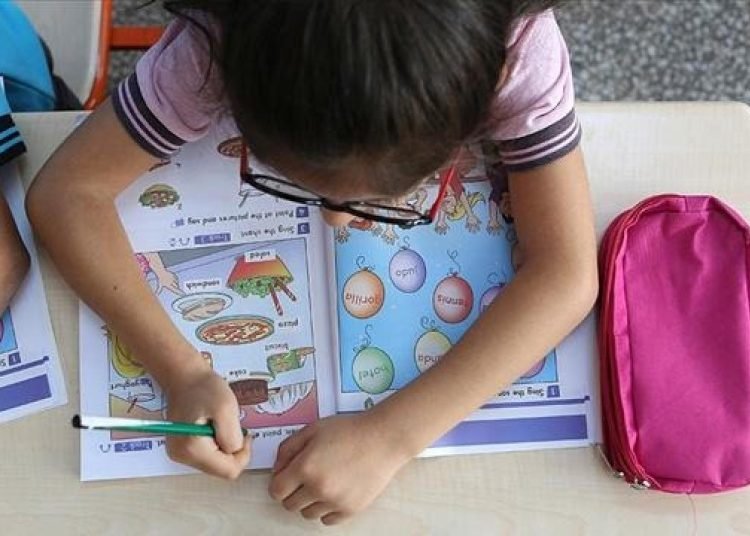 MEB eğitim-öğretim istatistiklerini açıkladı