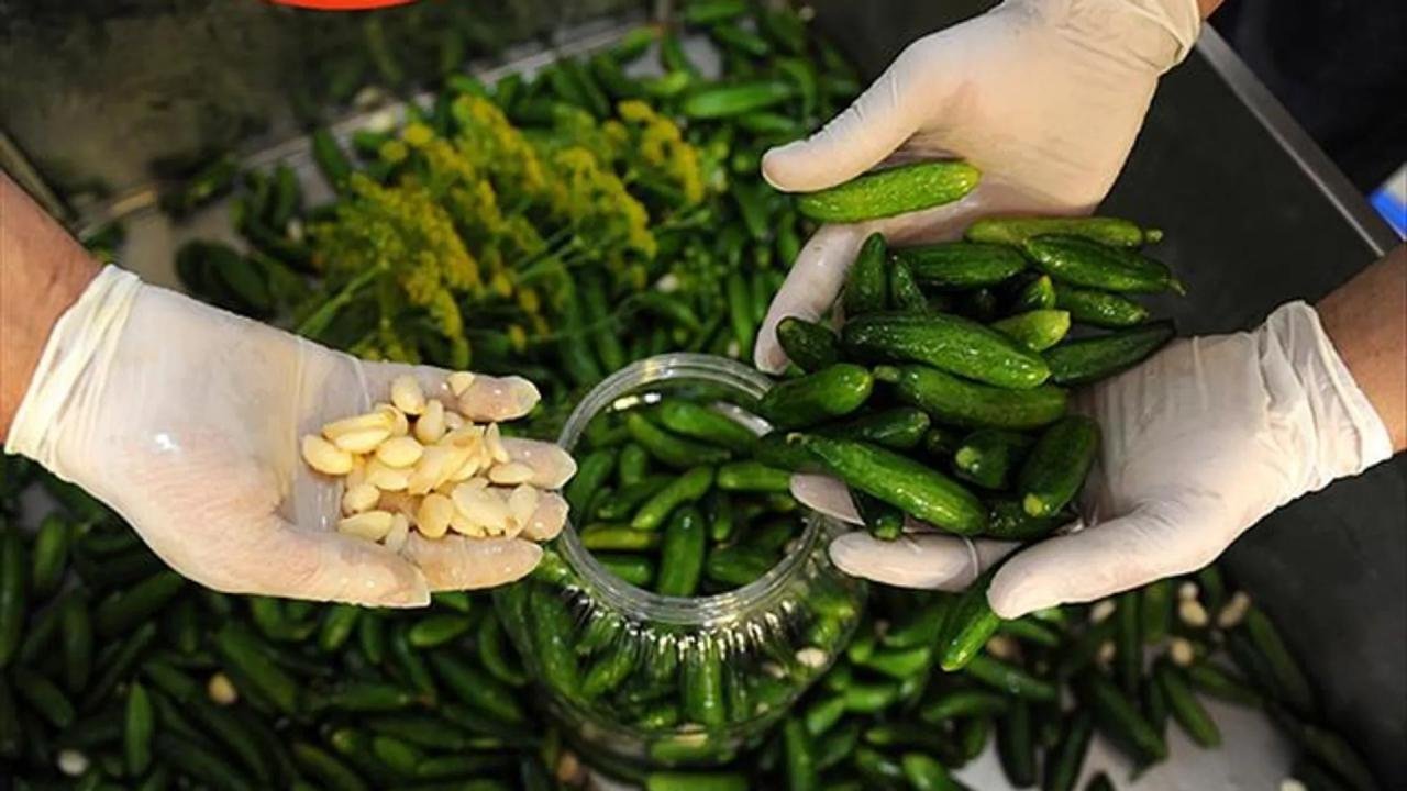 Tavana yapıştırılan turşu ‘sanat eseri’ olarak sergileniyor