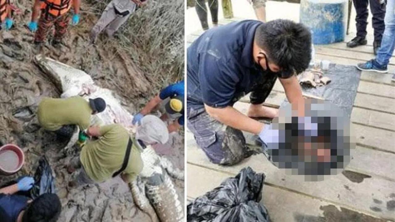 Timsahın midesini açınca şoke oldular