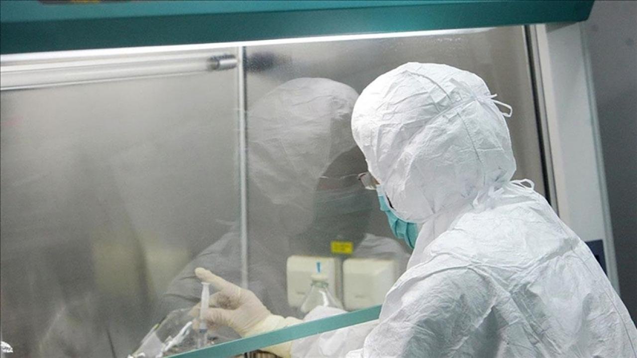 Yeni Zelanda’da ilk maymun çiçeği vakası tespit edildi