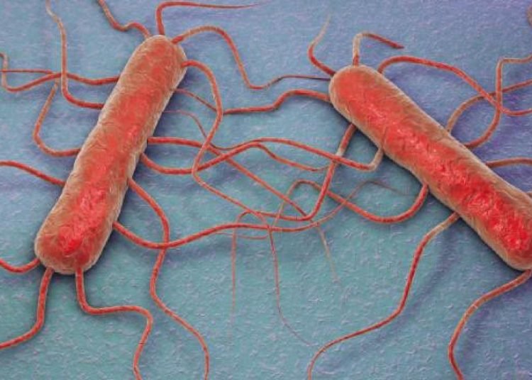 ABD’de et yiyen bakteri alarmı: 65 vakadan 11’i öldü