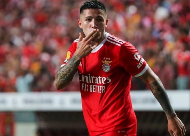 Barcelona Benfica’ya kaptırmıştı! Enzo Fernandez için yeniden harekete geçtiler