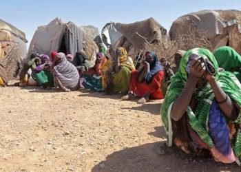 Birleşmiş Milletler: Kuraklık Somali’de yaklaşık 1 milyon kişiyi etkiledi
