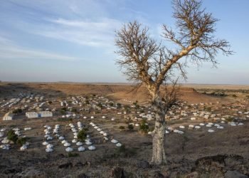 BM: Etiyopya’da savaş suçu işlendi
