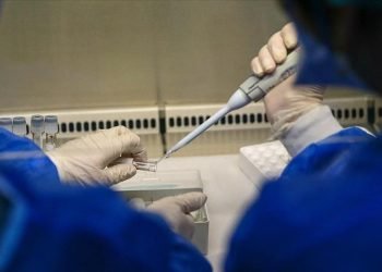 DSÖ: Küresel maymun çiçeği vakaları 70 binin üzerinde