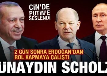 Erdoğan tahıl sorununu çözdü, Scholz iki gün sonra Putin’e çağrı yaptı