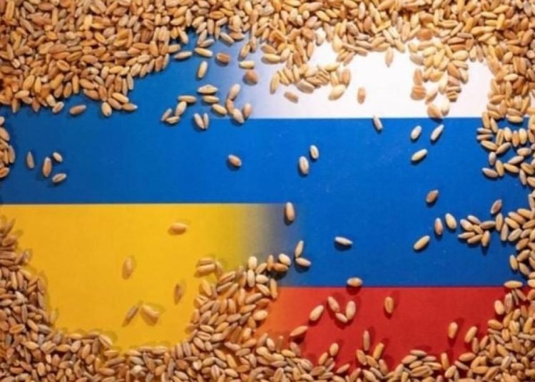 Fransa: Rusya tahıl anlaşmasına katılımını askıya alarak gıda krizini ağırlaştırıyor