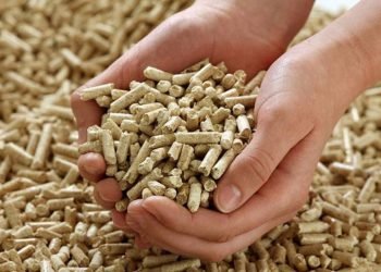 İngiltere tonlarca ithal etmeye başladı!