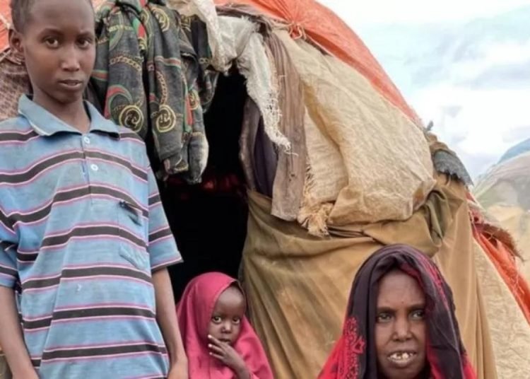 Somali’de kuraklık ve kıtlık: ‘Üç yaşındaki kızımı gömecek takatim yoktu’