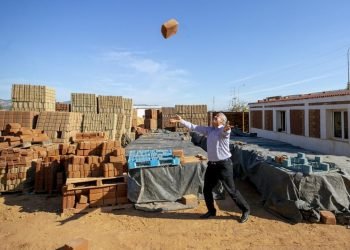 Tunuslu akademisyen “ekolojik yapı taşı” için mesleğini bıraktı