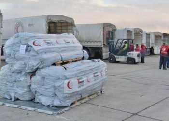 BAE, Türkiye ve Suriye’ye 22 uçak ile yardım gönderdi