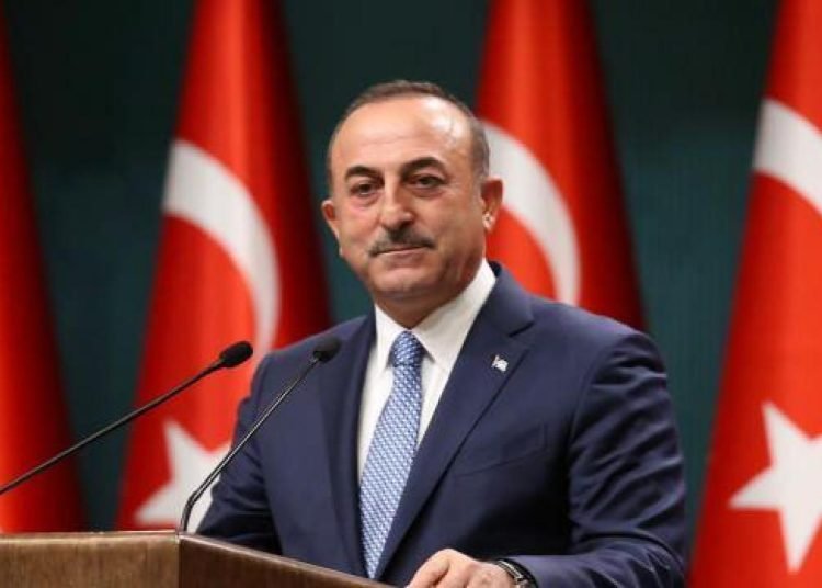 Dışişleri Bakanı Mevlüt Çavuşoğlu, G20 kapsamında Hint mevkidaşı Jaishankar ile görüştü