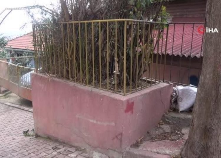 Evin önündeki gizemli türbe merak uyandırıyor
