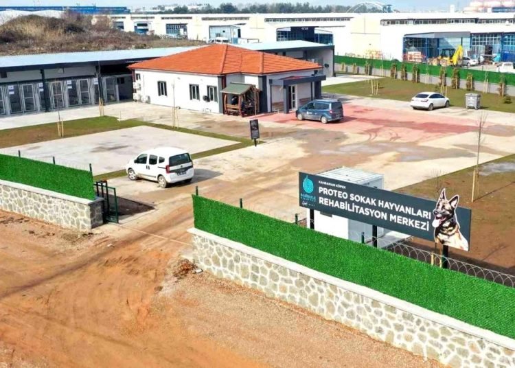 Kahraman köpek Proteo’nun adı Kocaeli’de yaşatılacak