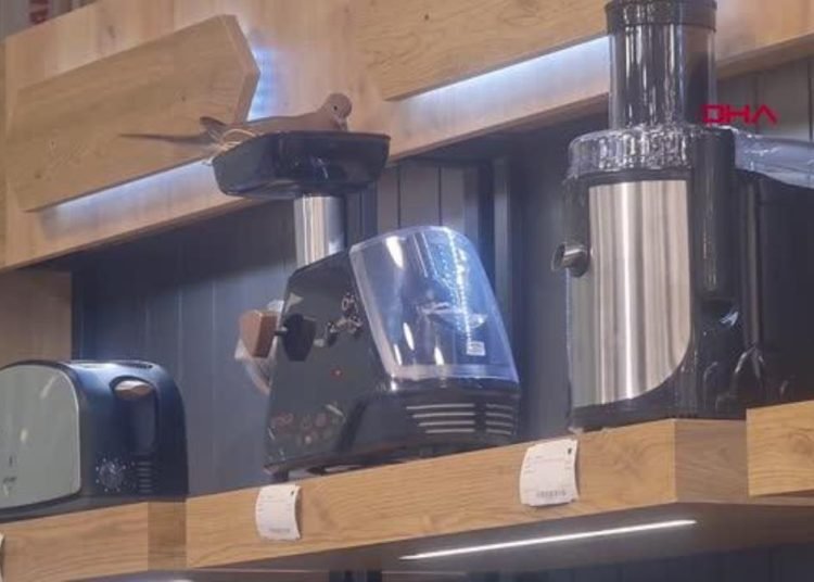 Kıyma makinesine yuva yapan kuşun yavrularının yumurtadan çıkmasını bekliyorlar