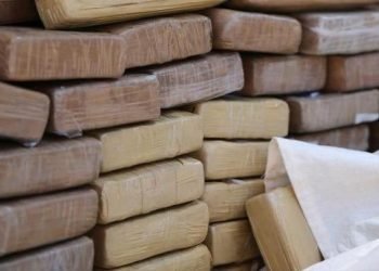 Meksika’da 2,4 ton kokain ele geçirildi
