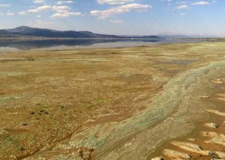 Son 50 yılda dünyadaki sulak alanların yüzde 35’i yok oldu