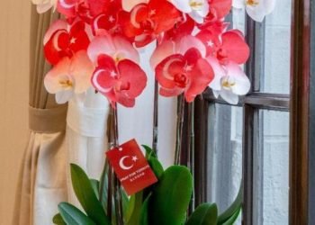 Tayvan liderinden orkideli Türkiye’ye destek mesajı