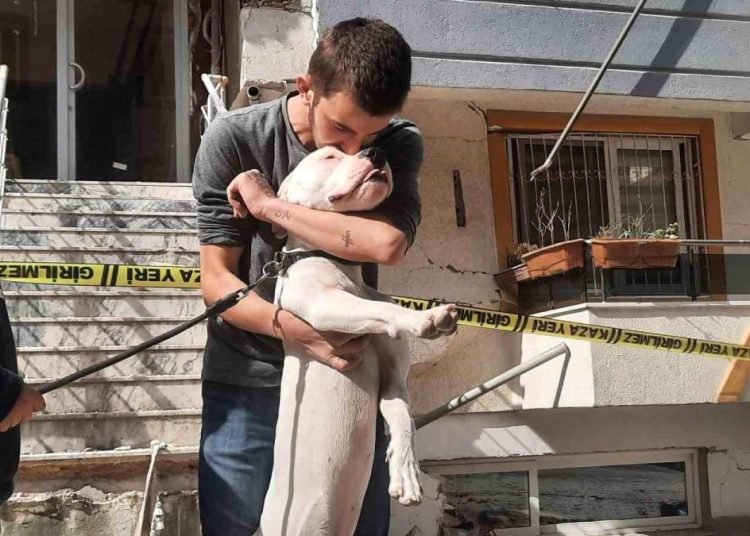 Kahraman köpek ‘Dora’, deprem anında kendisini siper ederek sahiplerini korudu