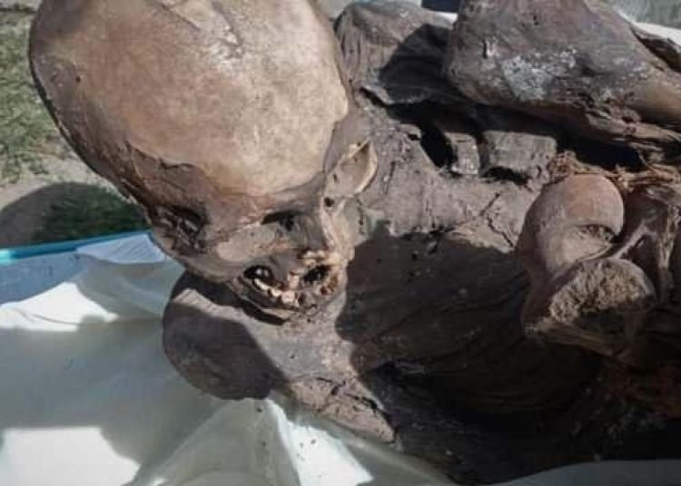 Peru’da eski kuryenin çantasından mumya çıktı