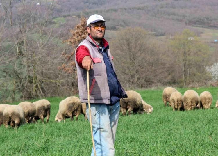 Şehir hayatından sıkıldı, 55 yaşında çobanlık yapmaya başladı