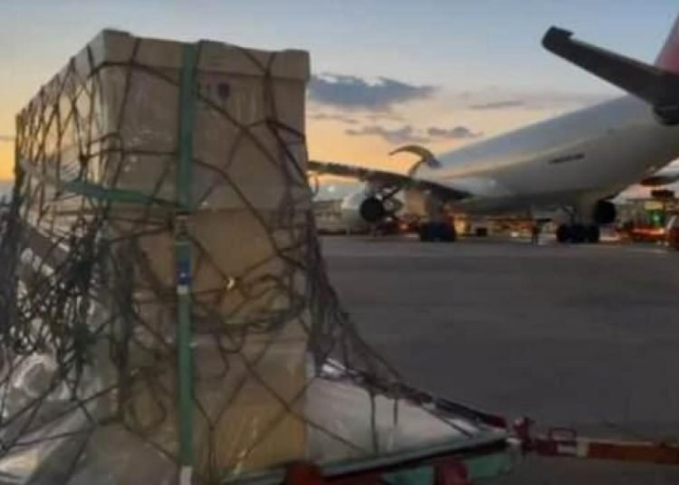 UAEA, Türkiye’ye portatif röntgen cihazı gönderdi