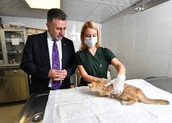 Bayraklı’daki can dostlara özel klinik!
