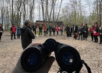 Ormanya’da kuş gözlem turuna yoğun ilgi