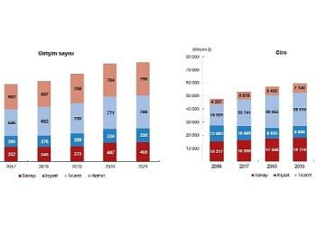 TÜİK: Yurt Dışında Kontrol Edilen Girişim İstatistikleri, 2021