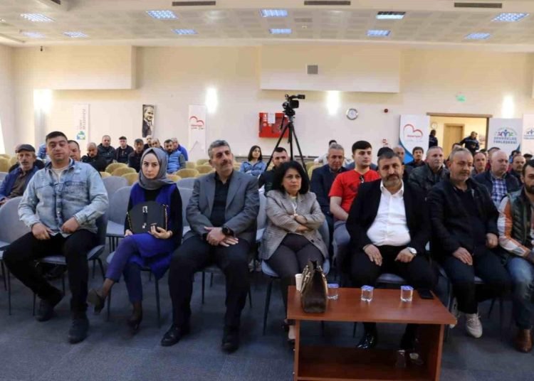 Tüysüzler pazarındaki 45 pazar yeri noter huzurunda belli oldu