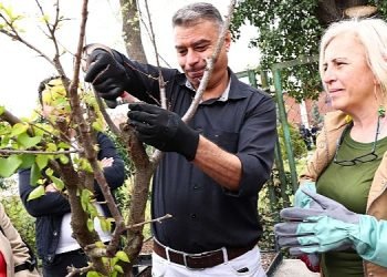 Çankaya Belediyesi 11. Dönem Bahçıvanlık Kursu Tamamlandı: