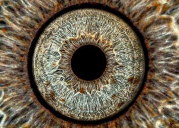 Kocaeli’de İlk ve Tek Iris Fotoğrafçılığı Stüdyosu Açıldı