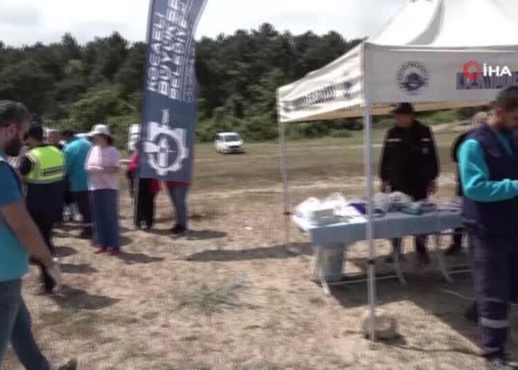 Sardala Koyu’nda atıklar toplanıyor